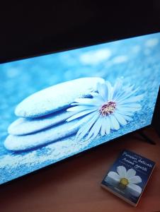 Casa Merisi al Centro Storico di Napoli