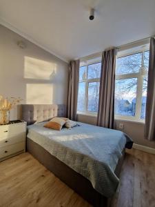 Tolstoi Scandinavian 1 bedroom apartment + free parking