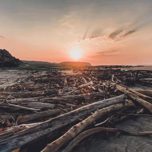 La Bocana Palm House