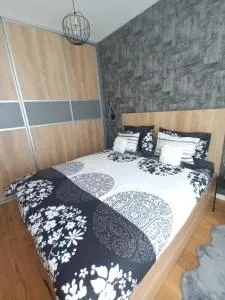 Apartman Edi - 别拉什尼察