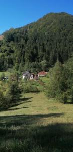 Casa de vacanță Edya