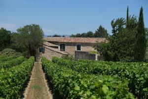 obrázek - charming vacation rental with a swimming pool in the heart of luberon natural park,13 people