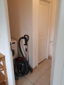 Le Palmier des Rochers