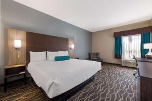 King Room - Non-Smoking room in Best Western Albemarle Inn