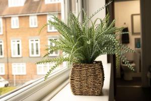 Cheam Village Self Contained Flat & studio