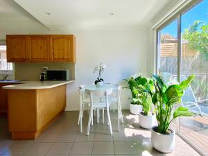 Beach Rd Kids & Pet Friendly Free Parking