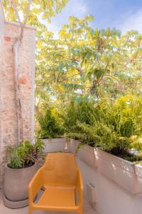 Kinal 04 - Apartment