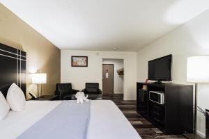 King Room - Accessible/Non-Smoking room in Econo Lodge Streetsboro