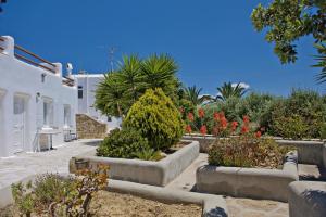 Evagelia's Place Myconos Greece