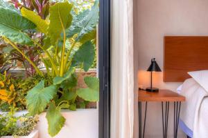 Kinal 06 - Apartment