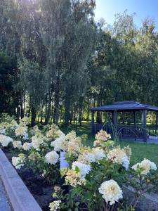 Vaivutės apartamentai No1