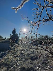 Spreewaldhaus Raddusch, Boote- Fahrräder gratis