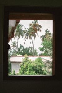 Kooks Paradise