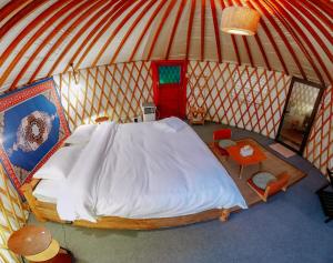 Nomad Yurts