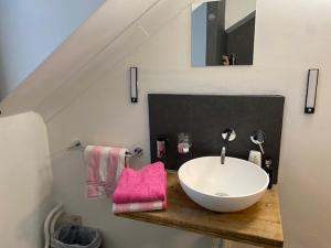Vakantiewoning Het Wielje Maasland