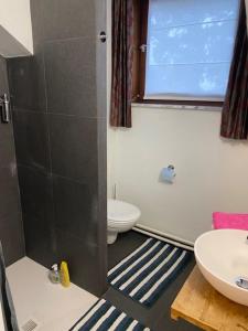 Vakantiewoning Het Wielje Maasland
