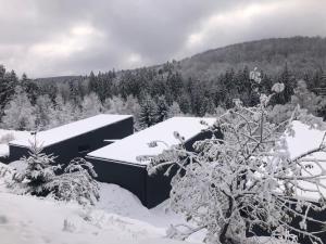 Nest in Gărâna - Cardinal House