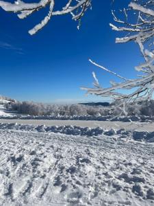 Chalet avec Jacuzzi et Piscine, déco soignée esprit cocooning