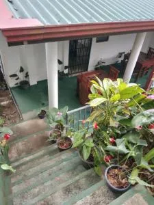 Ella Nature Breeze - Halpe