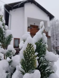 Holiday home Tilia - Čačinci