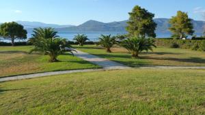 Beachfront Villa Tranquility