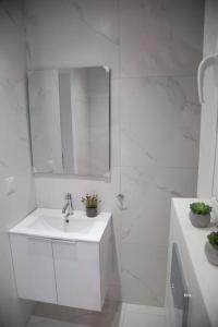 Large Flat with Terrace