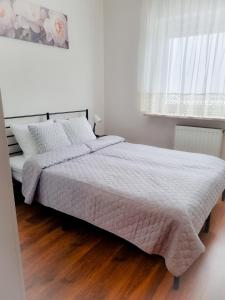 Apartament Warszawska