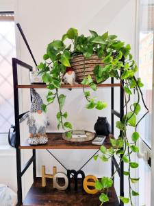 La Casa della Pineta