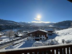 Chalet LE REPAIRE proches des Pistes