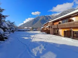 APPARTEMENT CHAMONIX MONTBLANC 1 à 4 personnes - 夏蒙尼-勃朗峰