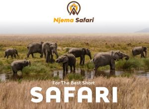 Safari Residence Lake Manyara