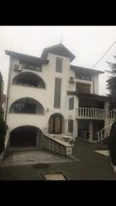 Vila Ana Ipatescu - Preajba