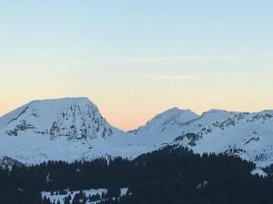 BILLY AVORIAZ - Résidence SASKIA B07