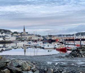 Unique restored barn with stove