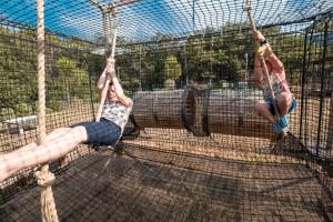 Maisons de vacances Camping Laroque des Alberes : photos des chambres