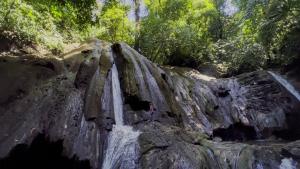 Glamping Trogón - Finca Heliconias