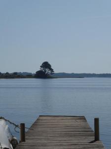 Appartements Biscarrosse Bourg Charmant T3 en centre ville : photos des chambres