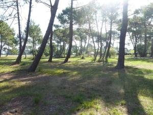 Appartements Biscarrosse Bourg Charmant T3 en centre ville : Appartement 2 Chambres