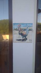 Gallo - La Cantina del contadino