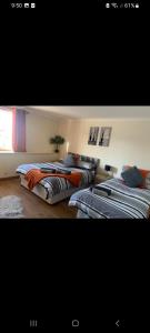 Panoramic Harbour View Apartment