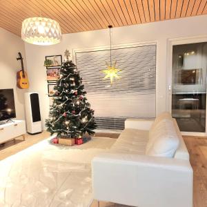 Gorgeous Arctic Lodge