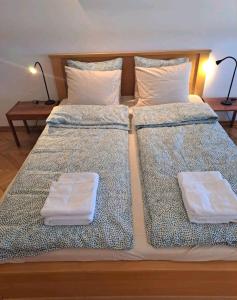 Apartman 2001 Stari grad