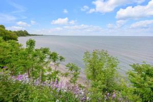 Lakeside Bliss Breathtaking View