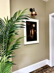 Stunning Boutique Flat in Central Location - Beatrice