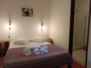 Aruá Observação de Vida Silvestre