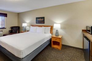 Stoney Creek Hotel Quad Cities - Moline