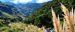 Casa Aguaribay para 4 personas, cerca del centro, Merlo San Luis