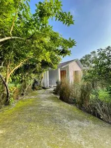 Mandaal Corbett - Bhatrojkhan