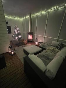 Arctic Circle Home for Winter Holiday