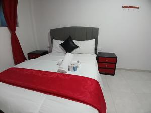 HOTEL ISMAEL de la VILLA